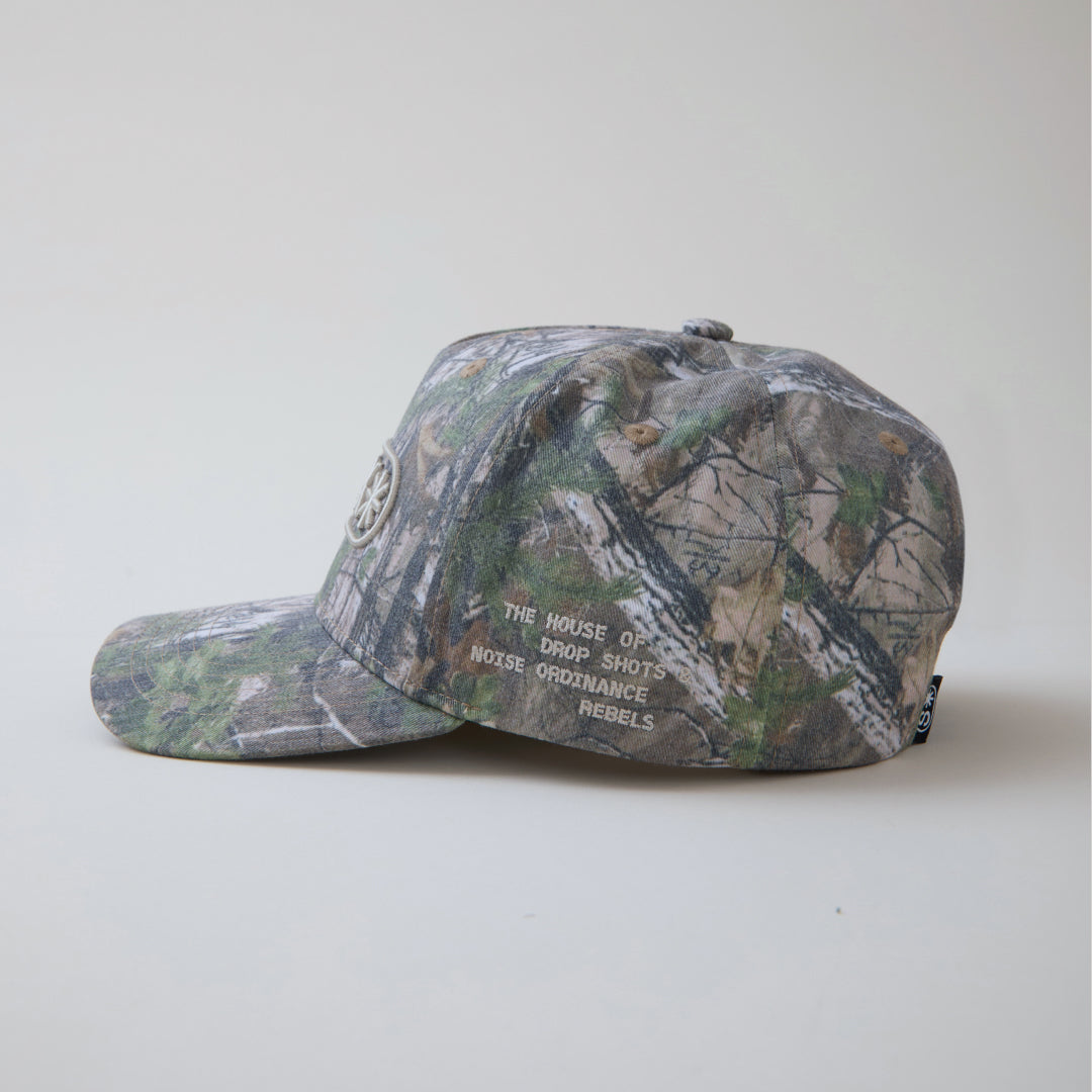 Apex Snapback