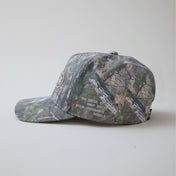 Apex Snapback